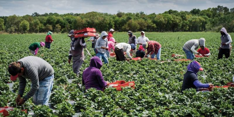 Local farms begin online sales